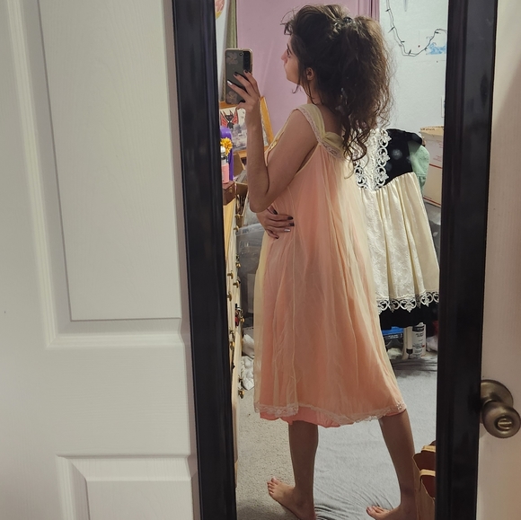 Vintage 1950's Rosebuds & Lace Layered Sheer Mesh Tulle Lingerie Slip Tank Dress - Picture 2 of 16